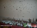 Filename=02-05-12-2~0.jpg
Filesize=135KiB
Dimensions=1024x768
Date added=May 18, 2012 02-05-12-2~0.jpg
