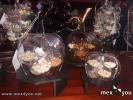 Filename=03-10-24-4.jpg
Filesize=291KiB
Dimensions=1440x1080
Date added=Oct 07, 2024 03-10-24-4.jpg