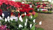 Filename=03-12-14-4.jpg
Filesize=117KiB
Dimensions=990x558
Date added=Dec 03, 2014 03-12-14-4.jpg