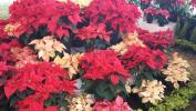 Filename=03-12-14-5.jpg
Filesize=121KiB
Dimensions=1032x581
Date added=Dec 03, 2014 03-12-14-5.jpg