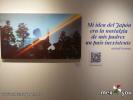Filename=04-05-22-1.jpg
Filesize=177KiB
Dimensions=1440x1080
Date added=May 04, 2022 04-05-22-1.jpg
