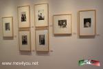 Filename=05-03-18-02.jpg
Filesize=102KiB
Dimensions=1152x768
Date added=Mar 01, 2018 05-03-18-02.jpg