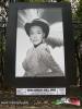 Filename=05-05-16-2.jpg
Filesize=152KiB
Dimensions=768x1024
Date added=May 05, 2016 05-05-16-2.jpg