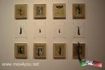 Filename=05-05-18-02.jpg
Filesize=114KiB
Dimensions=1152x768
Date added=May 04, 2018 05-05-18-02.jpg