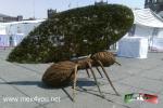 Filename=06-04-17-01-05.jpg
Filesize=223KiB
Dimensions=1152x768
Date added=Apr 05, 2017 06-04-17-01-05.jpg