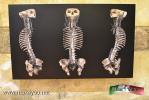 Filename=07-10-14-4.jpg
Filesize=110KiB
Dimensions=1024x683
Date added=Oct 07, 2014 07-10-14-4.jpg