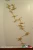 Filename=08-09-17-03.jpg
Filesize=78KiB
Dimensions=768x1152
Date added=Sep 07, 2017 08-09-17-03.jpg