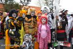 Filename=09-03-2014-01-02.jpg
Filesize=232KiB
Dimensions=1024x683
Date added=Mar 09, 2014 09-03-2014-01-02.jpg