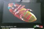 Filename=10-04-17-1-3.jpg
Filesize=210KiB
Dimensions=1152x768
Date added=Apr 10, 2017 10-04-17-1-3.jpg