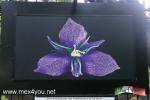 Filename=10-04-17-1-4.jpg
Filesize=198KiB
Dimensions=1152x768
Date added=Apr 10, 2017 10-04-17-1-4.jpg
