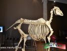 Filename=11-06-14-3.jpg
Filesize=126KiB
Dimensions=1024x768
Date added=Jun 11, 2014 11-06-14-3.jpg