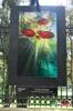 Filename=11-07-18-01.jpg
Filesize=220KiB
Dimensions=768x1152
Date added=Jul 11, 2018 11-07-18-01.jpg