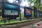 Filename=11-07-18-05.jpg
Filesize=315KiB
Dimensions=1152x768
Date added=Jul 11, 2018 11-07-18-05.jpg