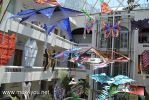 Filename=12-04-2014-04.jpg
Filesize=226KiB
Dimensions=1024x683
Date added=Apr 12, 2014 12-04-2014-04.jpg