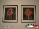 Filename=12-08-14-1.jpg
Filesize=76KiB
Dimensions=1024x768
Date added=Aug 12, 2014 12-08-14-1.jpg