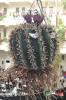 Filename=12-11-2017-04.jpg
Filesize=255KiB
Dimensions=768x1152
Date added=Nov 12, 2017 12-11-2017-04.jpg