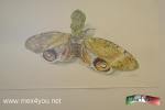 Filename=15-06-18-02.jpg
Filesize=106KiB
Dimensions=1152x768
Date added=Jun 14, 2018 15-06-18-02.jpg