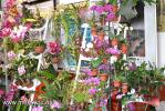 Filename=15-10-14-1.jpg
Filesize=215KiB
Dimensions=1024x683
Date added=Oct 15, 2014 15-10-14-1.jpg