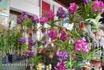 Filename=15-10-14-3.jpg
Filesize=215KiB
Dimensions=1024x683
Date added=Oct 15, 2014 15-10-14-3.jpg