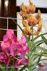Filename=15-10-14-4.jpg
Filesize=145KiB
Dimensions=683x1024
Date added=Oct 15, 2014 15-10-14-4.jpg