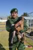 Filename=15-12-2017-02.jpg
Filesize=168KiB
Dimensions=768x1152
Date added=Dec 15, 2017 15-12-2017-02.jpg
