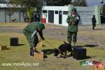 Filename=15-12-2017-07.jpg
Filesize=242KiB
Dimensions=1152x768
Date added=Dec 15, 2017 15-12-2017-07.jpg