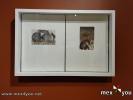 Filename=16-01-25-2.jpg
Filesize=124KiB
Dimensions=1440x1080
Date added=Jan 16, 2025 16-01-25-2.jpg