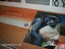Filename=16-02-12-1.jpg
Filesize=145KiB
Dimensions=1024x768
Date added=May 16, 2012 16-02-12-1.jpg