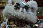 Filename=16-02-2018dearchivo2016-02.jpg
Filesize=161KiB
Dimensions=1152x768
Date added=Feb 16, 2018 16-02-2018dearchivo2016-02.jpg