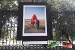 Filename=16-08-24-01.jpg
Filesize=1063KiB
Dimensions=1620x1080
Date added=Aug 17, 2024 16-08-24-01.jpg