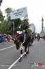 Filename=16-09-2015-17.jpg
Filesize=270KiB
Dimensions=768x1152
Date added=Sep 16, 2015 16-09-2015-17.jpg