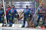 Filename=16-09-2018-19.jpg
Filesize=226KiB
Dimensions=1152x768
Date added=Sep 16, 2018 16-09-2018-19.jpg