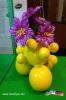 Filename=16-10-19-01.jpg
Filesize=136KiB
Dimensions=768x1152
Date added=Oct 18, 2019 16-10-19-01.jpg