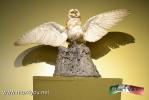 Filename=17-03-15-2.jpg
Filesize=93KiB
Dimensions=1024x683
Date added=Mar 17, 2015 17-03-15-2.jpg
