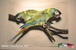 Filename=17-03-17-04.jpg
Filesize=123KiB
Dimensions=1152x768
Date added=Mar 16, 2017 17-03-17-04.jpg
