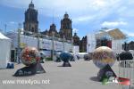 Filename=17-06-2018-05.jpg
Filesize=163KiB
Dimensions=1152x768
Date added=Jun 17, 2018 17-06-2018-05.jpg