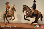 Filename=18-04-18-04.jpg
Filesize=128KiB
Dimensions=1152x768
Date added=Apr 18, 2018 18-04-18-04.jpg