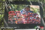 Filename=18-05-17-03.jpg
Filesize=314KiB
Dimensions=1152x768
Date added=May 18, 2017 18-05-17-03.jpg