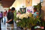 Filename=18-05-2021-08.jpg
Filesize=220KiB
Dimensions=1152x768
Date added=May 18, 2021 18-05-2021-08.jpg