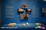 Filename=18-06-2022-01~0.jpg
Filesize=118KiB
Dimensions=1152x768
Date added=Jun 22, 2022 18-06-2022-01~0.jpg