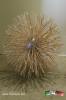 Filename=18-08-17-02.jpg
Filesize=134KiB
Dimensions=768x1152
Date added=Aug 18, 2017 18-08-17-02.jpg