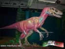 Filename=18-10-13-2.jpg
Filesize=138KiB
Dimensions=1024x768
Date added=Oct 18, 2013 18-10-13-2.jpg