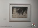 Filename=21-03-22-1.jpg
Filesize=117KiB
Dimensions=1440x1080
Date added=Mar 20, 2022 21-03-22-1.jpg