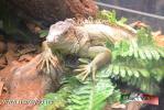 Filename=22-09-14-1~0.jpg
Filesize=151KiB
Dimensions=1024x683
Date added=Sep 22, 2014 22-09-14-1~0.jpg