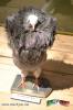 Filename=22-09-14-2~0.jpg
Filesize=94KiB
Dimensions=683x1024
Date added=Sep 22, 2014 22-09-14-2~0.jpg
