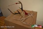 Filename=22-09-14-3.jpg
Filesize=63KiB
Dimensions=1024x683
Date added=Sep 22, 2014 22-09-14-3.jpg
