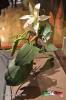 Filename=22-09-14-4~0.jpg
Filesize=95KiB
Dimensions=683x1024
Date added=Sep 22, 2014 22-09-14-4~0.jpg