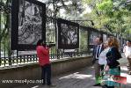 Filename=23-10-15-4.jpg
Filesize=231KiB
Dimensions=1024x683
Date added=Oct 23, 2015 23-10-15-4.jpg