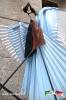 Filename=23-11-2023-17.jpg
Filesize=202KiB
Dimensions=768x1152
Date added=Nov 26, 2023 23-11-2023-17.jpg