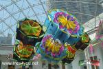 Filename=24-02-2018-05.jpg
Filesize=249KiB
Dimensions=1152x768
Date added=Feb 24, 2018 24-02-2018-05.jpg